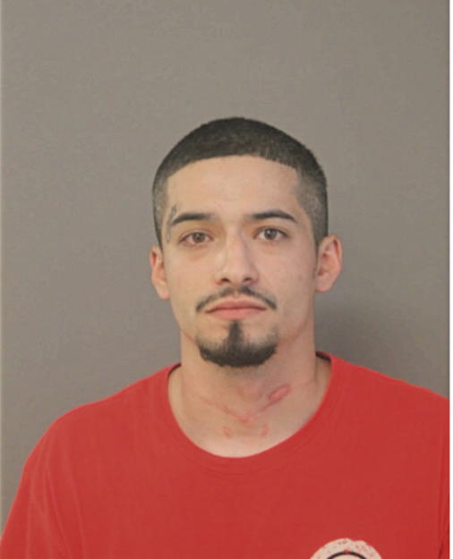 MARCOS ALARCON, Cook County, Illinois