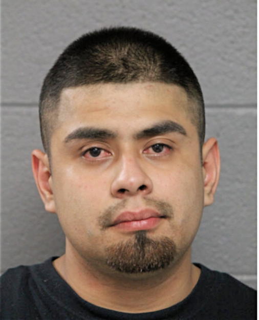 LUIS A ALARCON-NAJERA, Cook County, Illinois