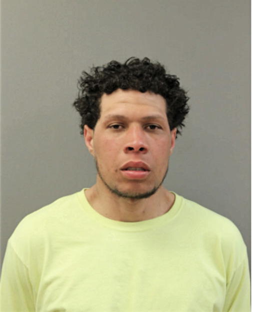 CHRISTIAN ANDINO, Cook County, Illinois