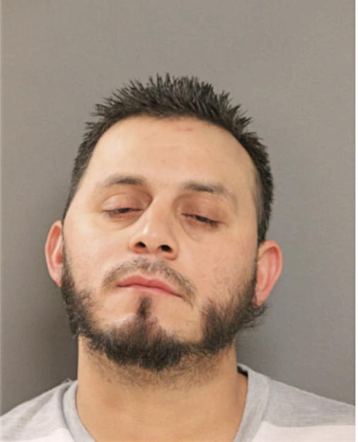 JUAN C ARREOLAGONZALEZ, Cook County, Illinois