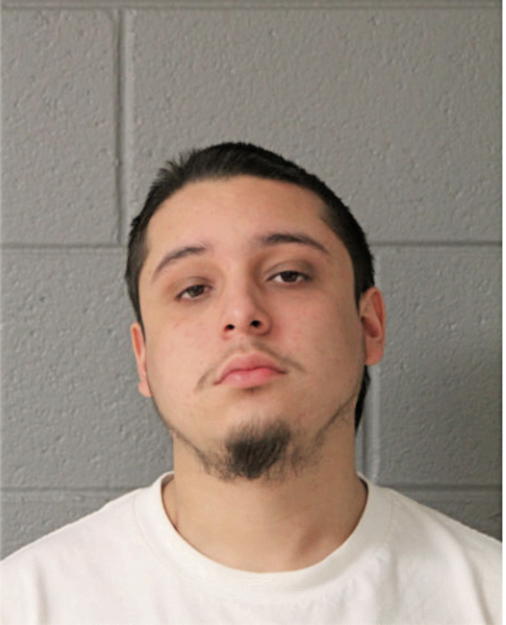 OSVALDO AVALOS, Cook County, Illinois