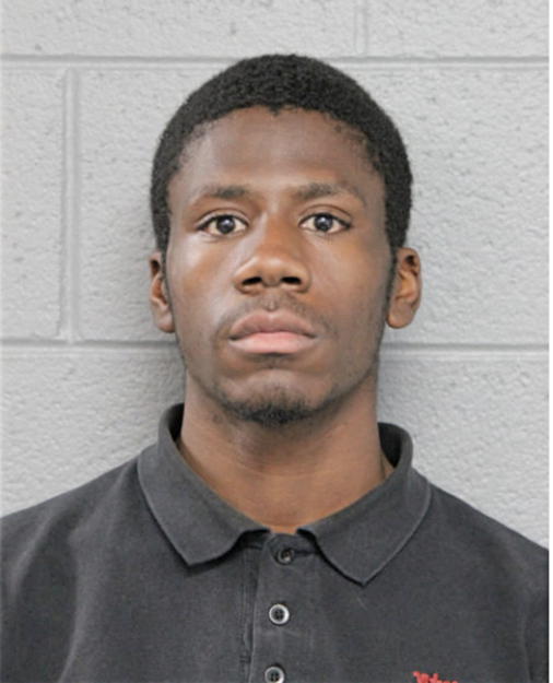 LOVELL S BLIZZARD, Cook County, Illinois