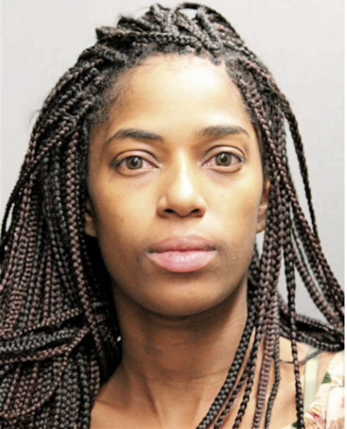 TIANNA L BORNER, Cook County, Illinois