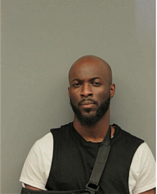 JEDIDIAH L BROWN, Cook County, Illinois