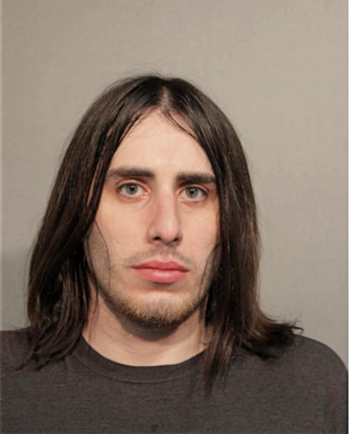BRIAN D CARNEY, Cook County, Illinois