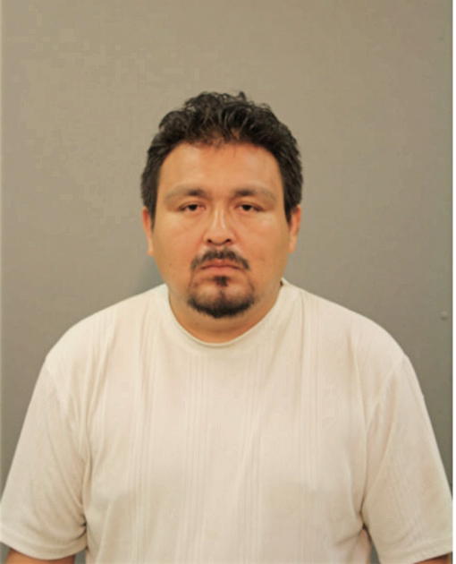 ROGELIO ESCALANTE-LUNA, Cook County, Illinois