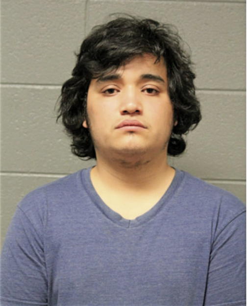 GUSTAVO ESTRELLA, Cook County, Illinois