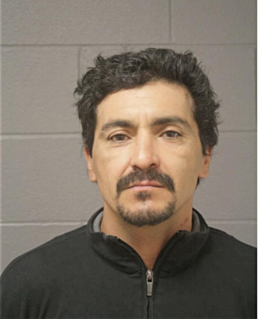ALEZ J FERNANDEZ, Cook County, Illinois