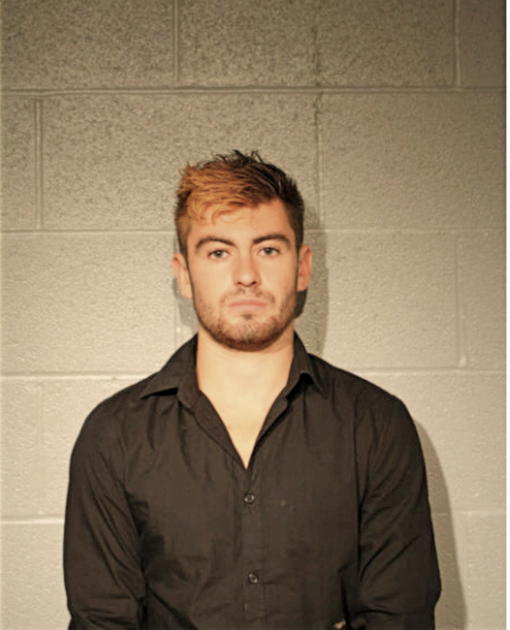 MARK FLANAGAN, Cook County, Illinois