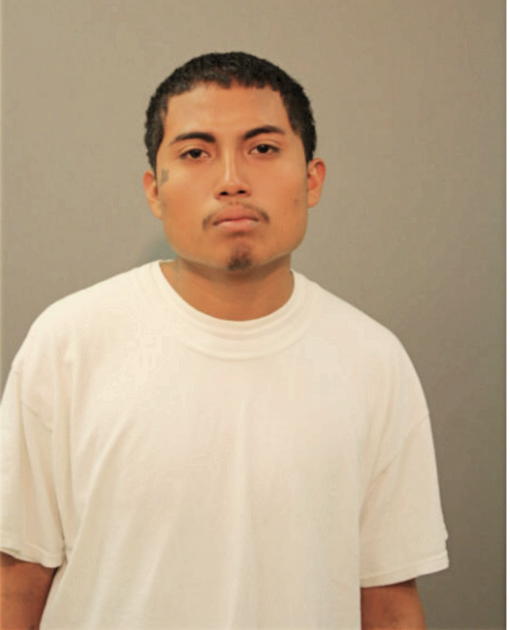 DAVID GONZALEZ, Cook County, Illinois