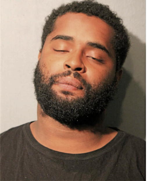 RYAN T HARRIS, Cook County, Illinois
