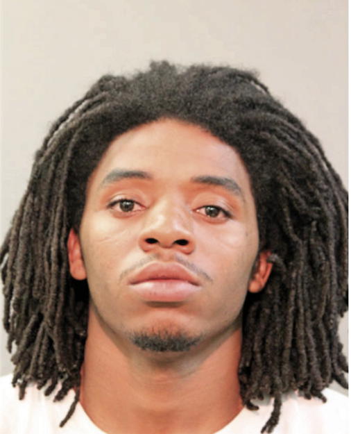 JOSEPH R JOHNSON, Cook County, Illinois