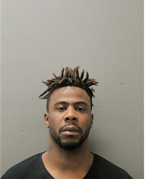 MICHAEL N LOWRY, Cook County, Illinois