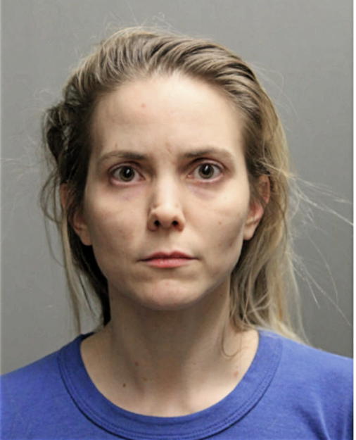 MICHELLE S LUKE, Cook County, Illinois