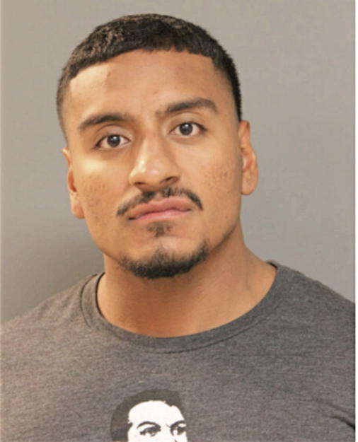 DIEGO A MANZO, Cook County, Illinois