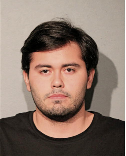 NESTOR J MARTINEZ, Cook County, Illinois