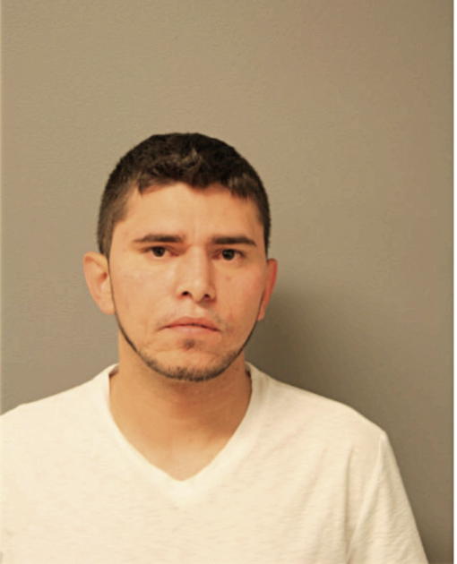 JOSE L NAVEJAS-LOPEZ, Cook County, Illinois
