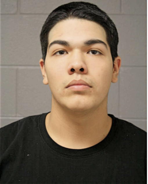 OSCAR REA, Cook County, Illinois