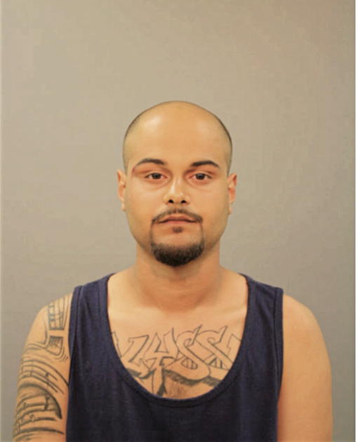 ANGEL D RIVERA, Cook County, Illinois