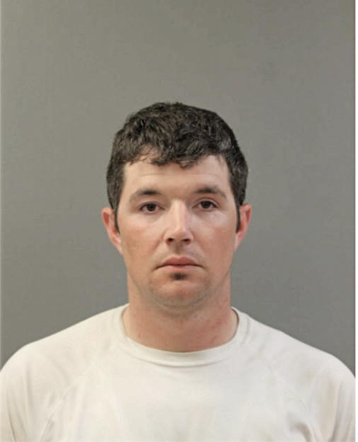 ANDREW M SANTILLI, Cook County, Illinois