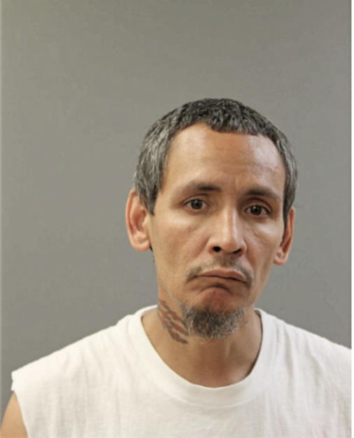 ELVIS SILVA, Cook County, Illinois