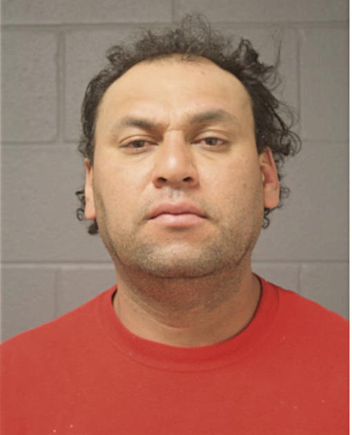 ELVIN JAVIER TORRES, Cook County, Illinois