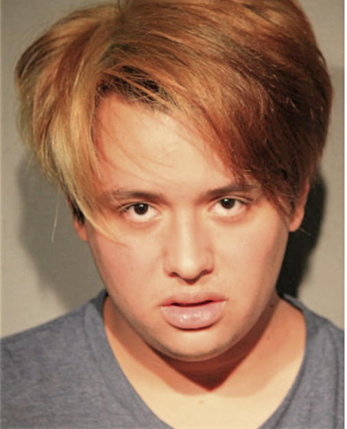 DANTON VALENZUELA, Cook County, Illinois