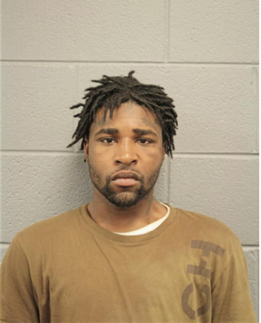 BRIAN D WHITE, Cook County, Illinois