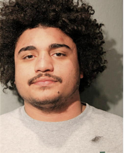 MICHAEL WHITE, Cook County, Illinois