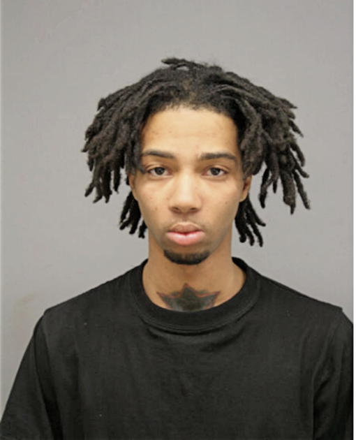 LIONEL P WILLIAMS, Cook County, Illinois
