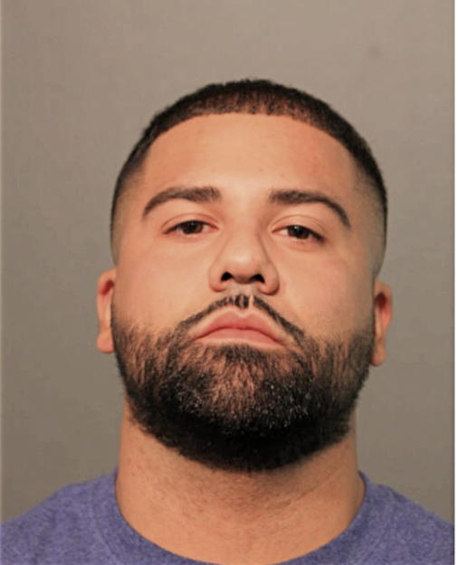 LUIS M ALVAREZ, Cook County, Illinois