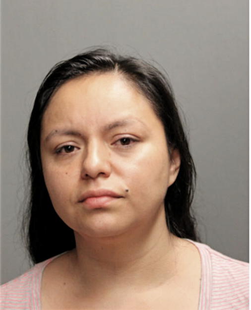 CELINA BARAJAS, Cook County, Illinois
