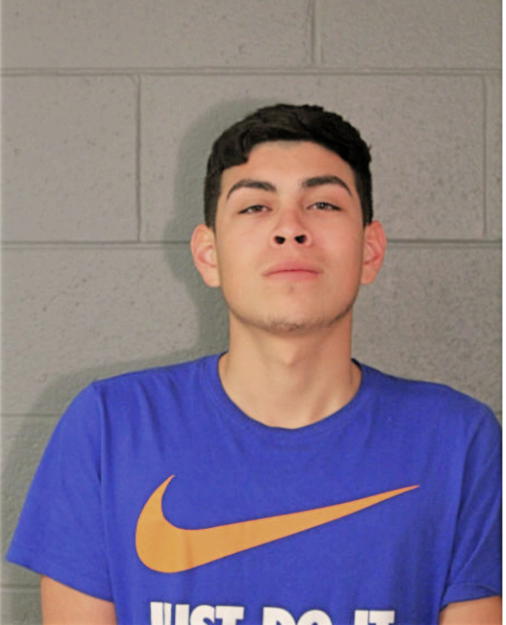 SALOMON DIAZ, Cook County, Illinois