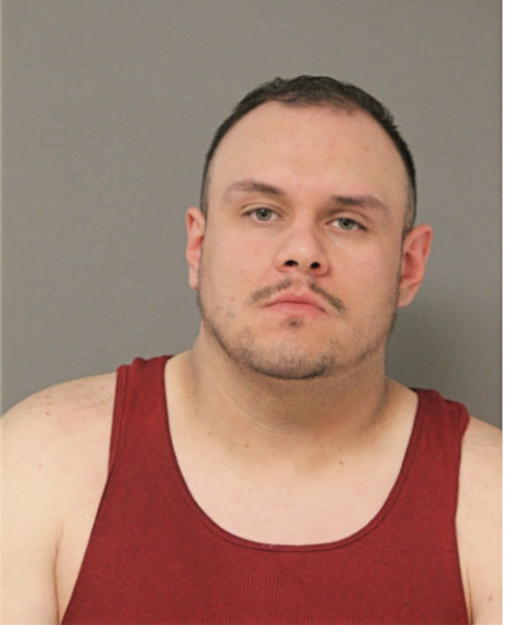 STEVE J FITZ, Cook County, Illinois