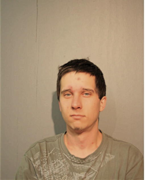 SHAWN P FOLEY, Cook County, Illinois