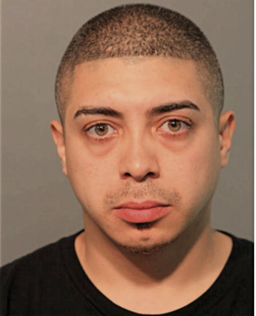 DAVID HERNANDEZ, Cook County, Illinois