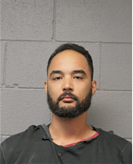 JOSHUA D HOPKINS, Cook County, Illinois