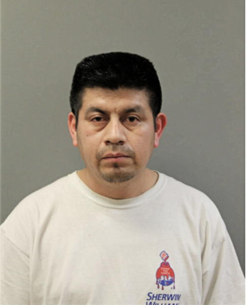 AGEO H JIMENEZ, Cook County, Illinois