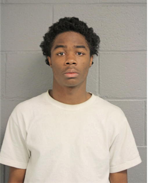 TYRONE L JOHNSON, Cook County, Illinois