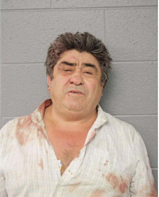 RODRIGO LEANOS, Cook County, Illinois