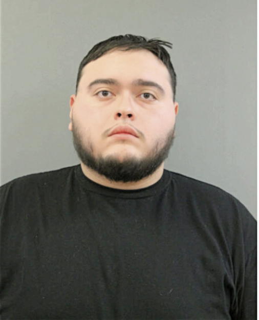 GIOVANNI J LONGORIA, Cook County, Illinois