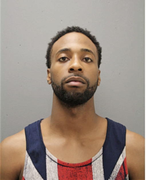 MICHAEL J MACK, Cook County, Illinois