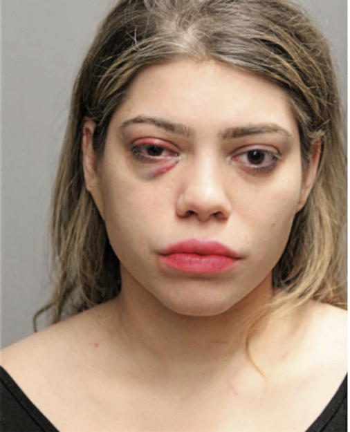 ANAIS L PERRETTA, Cook County, Illinois