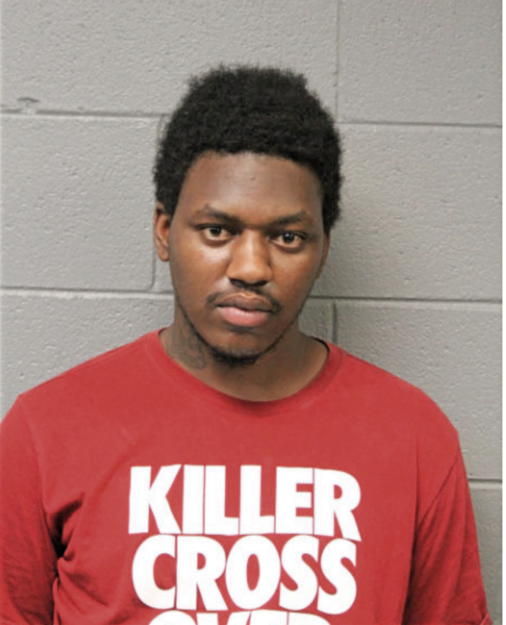 DESMOND J RANDOLPH, Cook County, Illinois