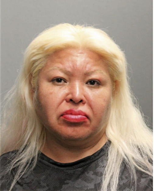 ELVIRA REYES, Cook County, Illinois