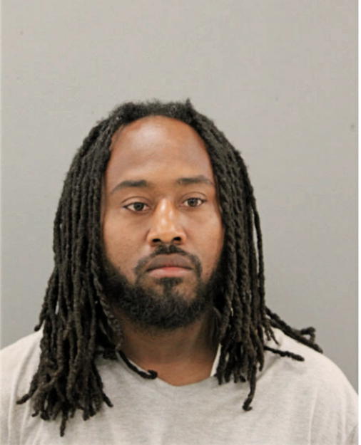 DAVID J RICE, Cook County, Illinois