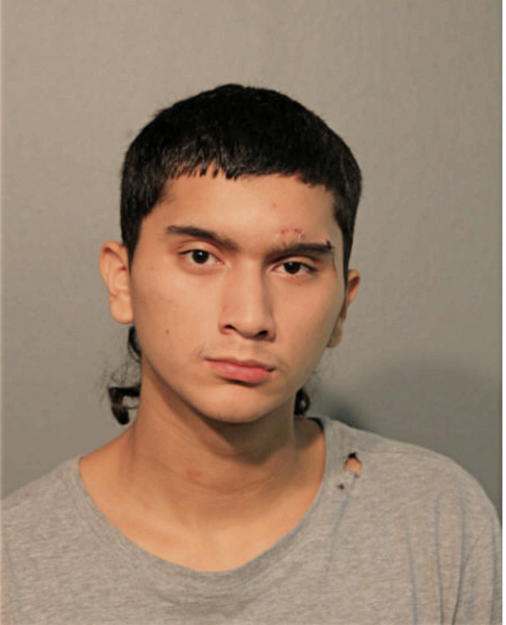 JONATHAN V RIVAS, Cook County, Illinois