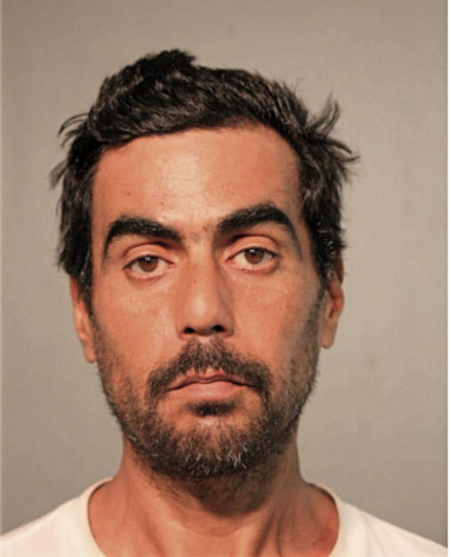 FRANCISCO JAVIER ROMAN DIAZ, Cook County, Illinois
