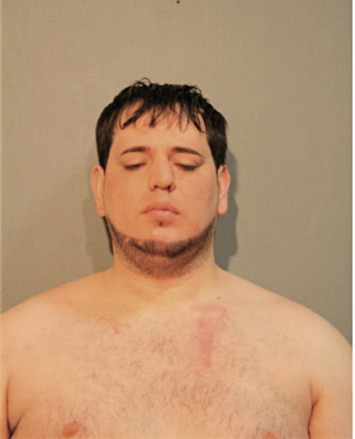GEORGE J RUZICH, Cook County, Illinois