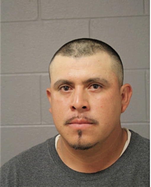 CARLOS AMARO, Cook County, Illinois